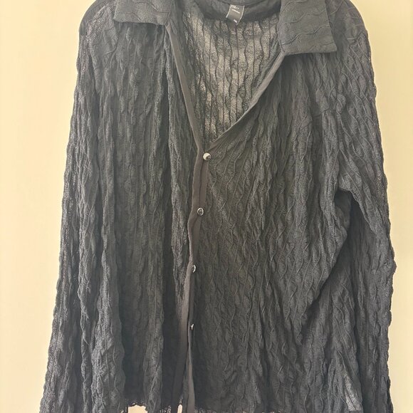 Cider Sheer Button Down - Picture 1 of 5